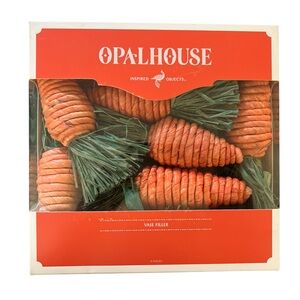 Opalhouse 9ct Corn Husk & Carrot Vase Filler; Brand new original box